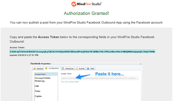 MindFire is authorized to access your Facebook account